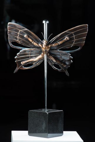 Extremely Rare and Collectable Butterfly Extremely Rare and Collectable Butterfly