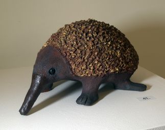 Echidna Echidna