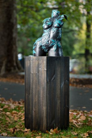 Femme Dans Les Feuille