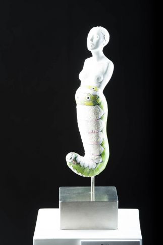 Pupa Pupa