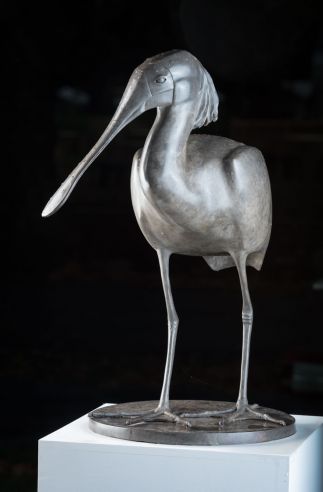 Yellow Billed Spoonbill