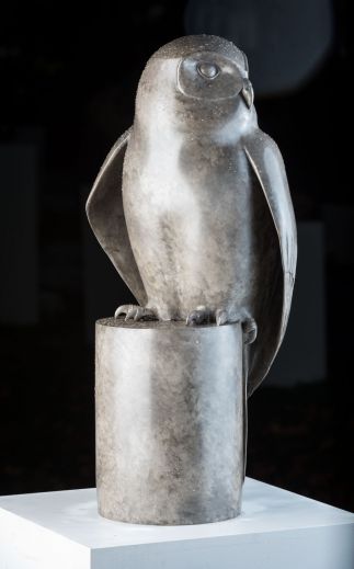 Powerful Owl