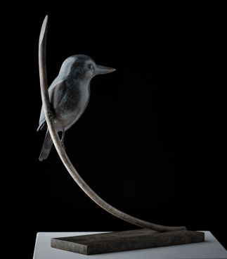 Forest Kingfisher