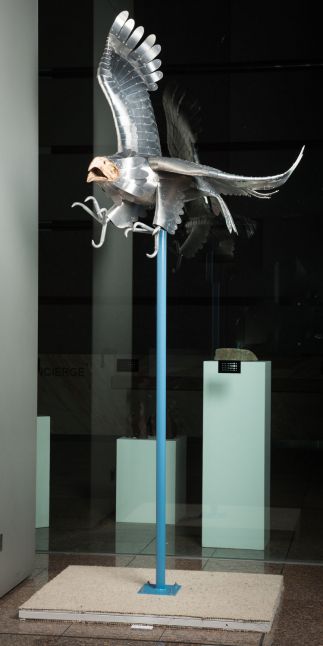 Raptor Raptor