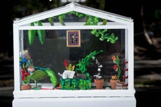 Cam’s Garden Shed Cam’s Garden Shed