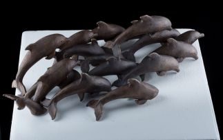 Pod