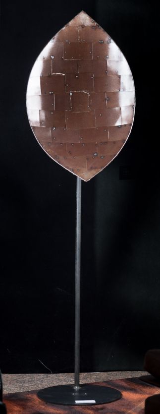 Shield Shield