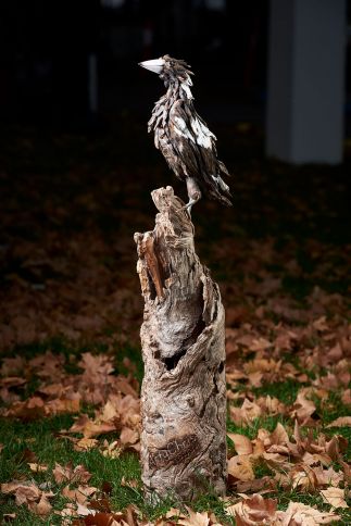 Magpie Magpie