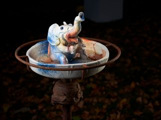 Elephant Spa Elephant Spa