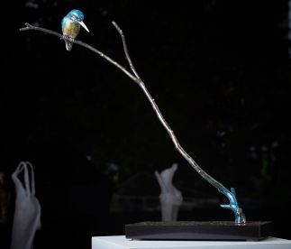 Kingfisher Kingfisher