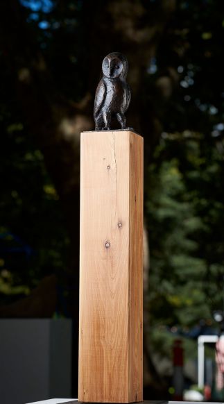Tyto alba Tyto alba