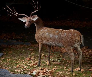 Oh Deer! Oh Deer!