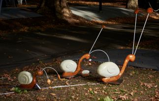 Snail Trails Snail Trails