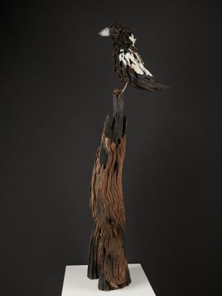 Marjory the Magpie Marjory the Magpie