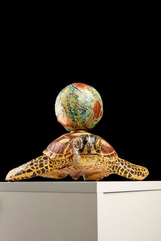 World Turtle