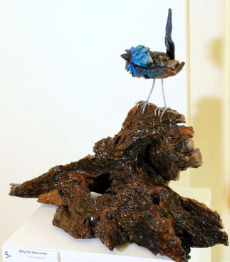 Billy the blue wren Billy the blue wren