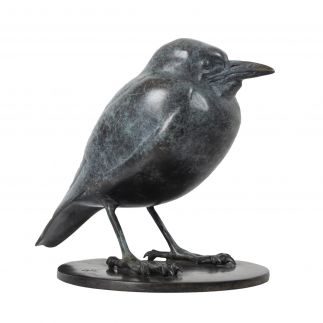 Baby Magpie