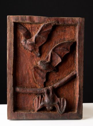 Bats Bats