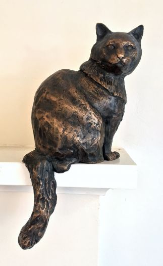 Seated Cat