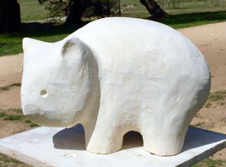 Wombat Wombat