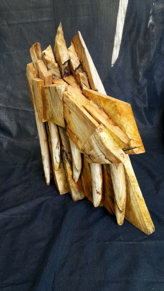 Where the Wolves Hide