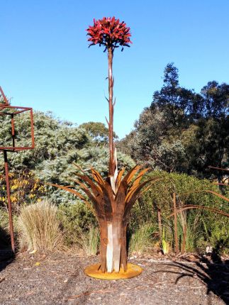 Gymea Lily Gymea Lily