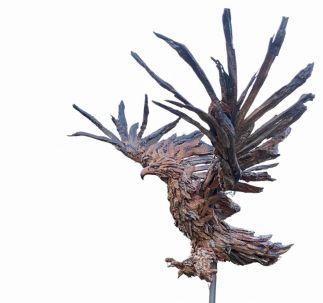 Wally the wedge tailed eagle Wally the wedge tailed eagle