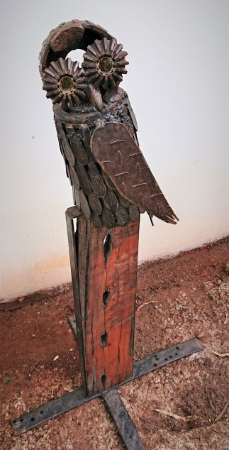 Southern Boobook