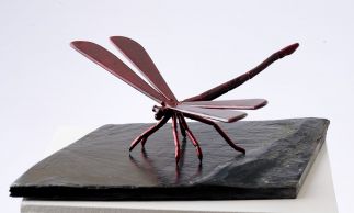 Red Dragonfly