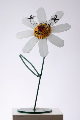 Daisy Bees