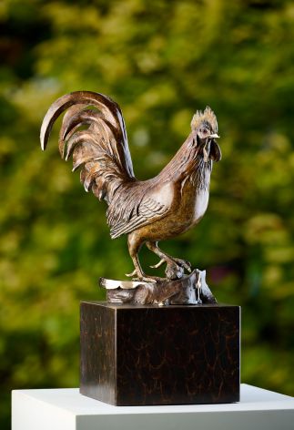 Rooster Rooster
