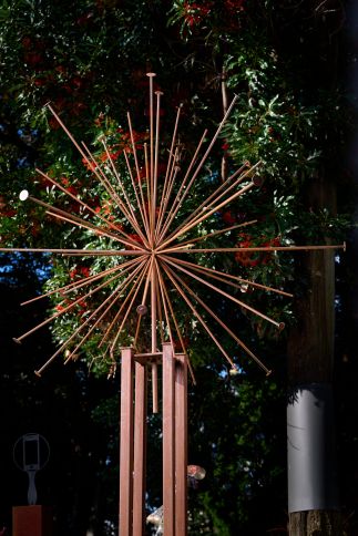 Flower Burst Flower Burst