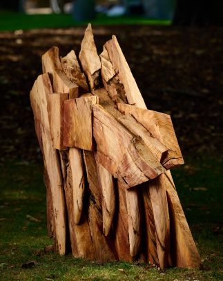 Where the Wolves Hide