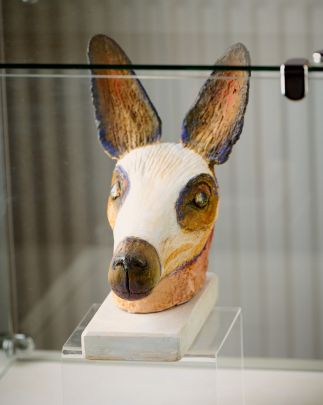 Masked Kanga/ Wild Horses & Kangaroos Alike!