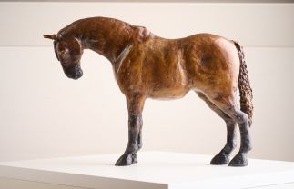 My sister’s horse Mindy