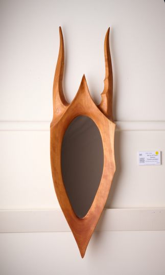 Mirror of Trans-Species Communication Mirror of Trans-Species Communication
