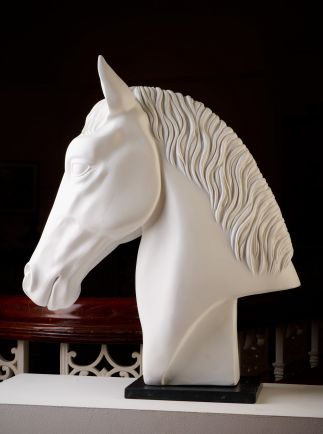 The thoroughbred