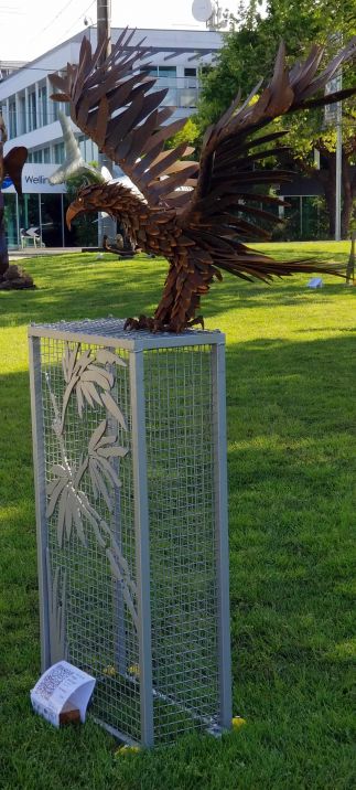 Estelle the wedge tailed eagle Estelle the wedge tailed eagle