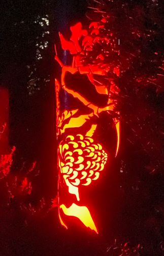 Waratah