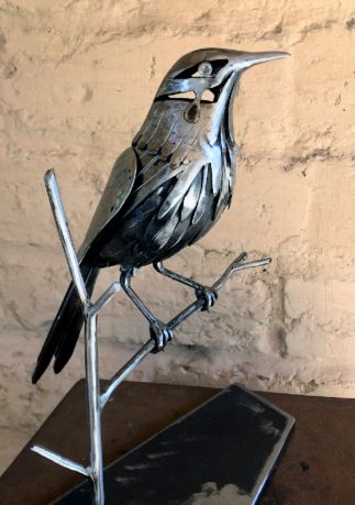 Wattle Bird Wattle Bird