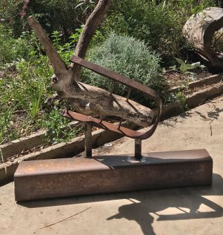 Remnant in Steel Trap