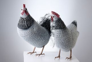 The Duke and the Duchess (white Sussex hen and rooster) The Duke and the Duchess (white Sussex hen and rooster)
