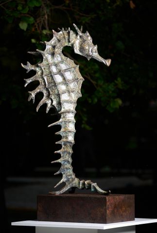 Seahorse Seahorse