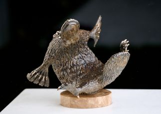 Playing Platypus Playing Platypus