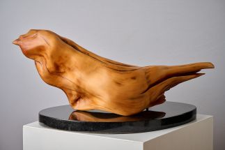 The Phoenix