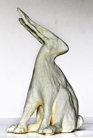 Lepus Alba