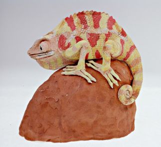 Red Chameleon