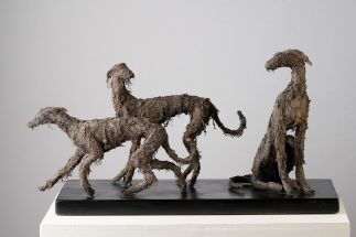 Dark Dogs