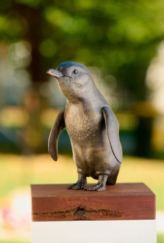 Little Penguin Little Penguin