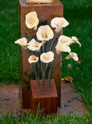 Lilys